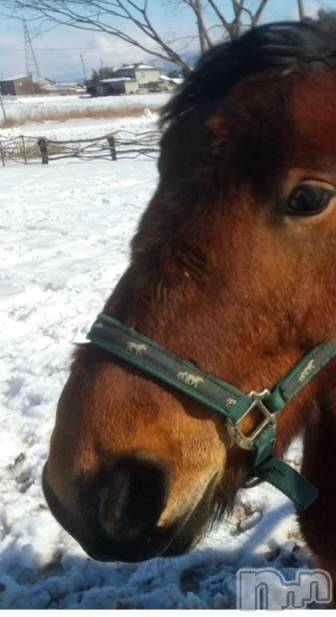 長岡デリヘルMimi(ミミ) ひな★月間RANK1位★(25)の12月18日写メブログ「雪の日も裸🐴」