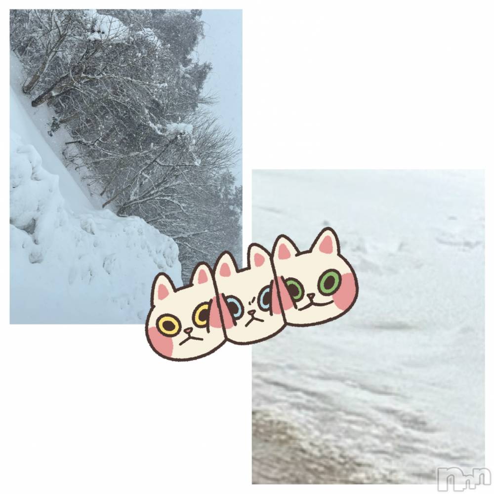 長岡デリヘルMimi(ミミ) ひな★月間RANK1位★(25)の2月5日写メブログ「長岡の天気⛄️❄️」