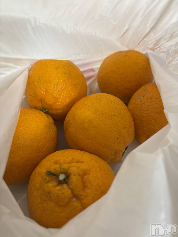 長岡デリヘルMimi(ミミ) ひな★月間RANK1位★(25)の3月15日写メブログ「来週の出勤です🙄」