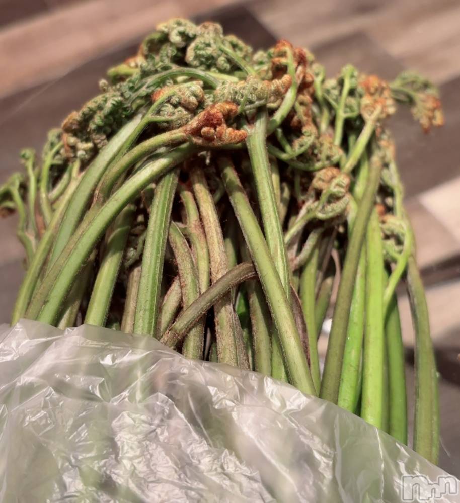 長岡デリヘルMimi(ミミ) ひな★月間RANK1位★(25)の5月12日写メブログ「私も新潟県産🤣」