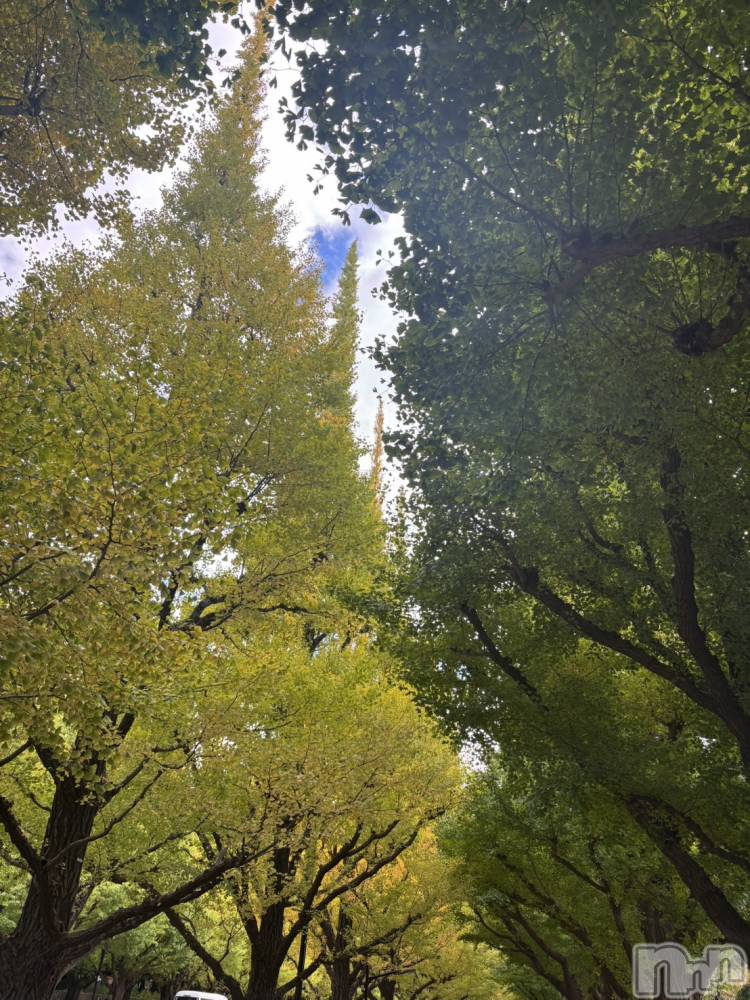 長岡デリヘルMimi(ミミ) ひな★月間RANK1位★(25)の11月24日写メブログ「デートプラン❤️」