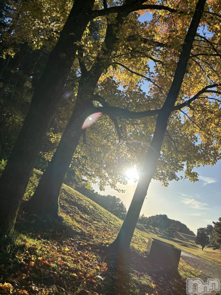 長岡デリヘルMimi(ミミ) ひな★月間RANK1位★(25)の12月7日写メブログ「ひな活🐥」