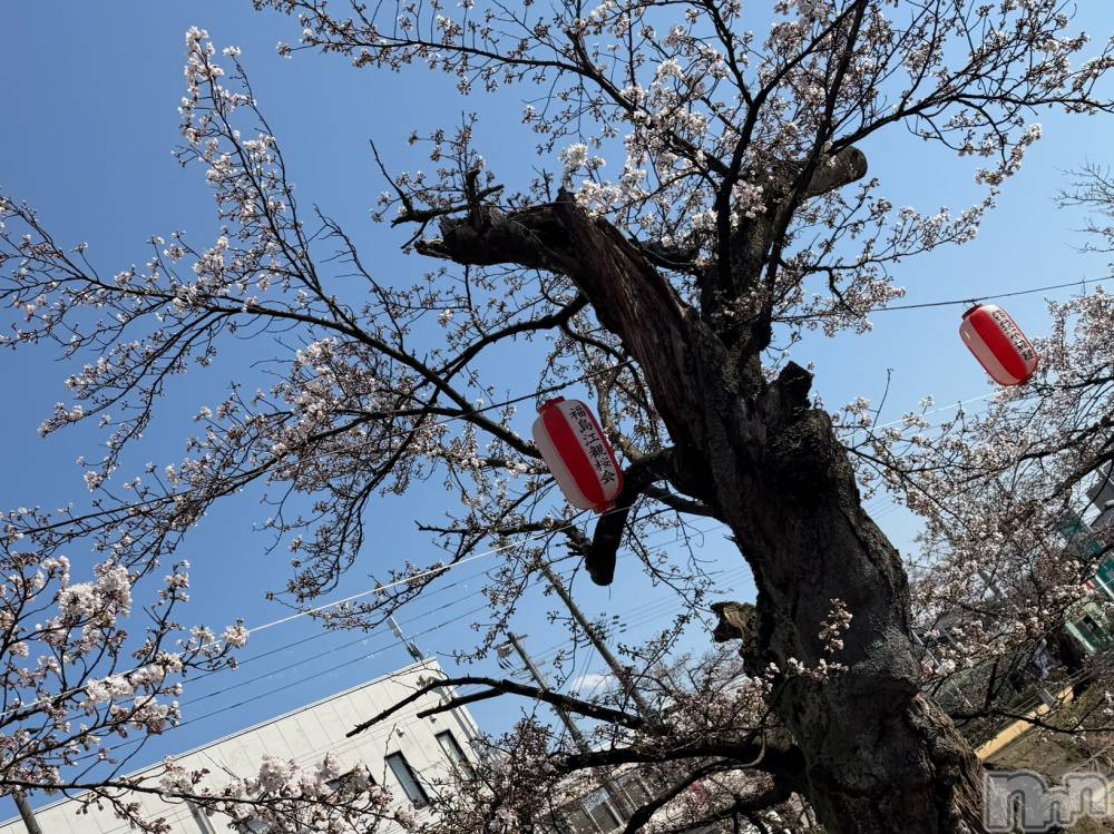 長岡デリヘルMimi(ミミ) ひな★月間RANK1位★(25)の4月3日写メブログ「🌸」