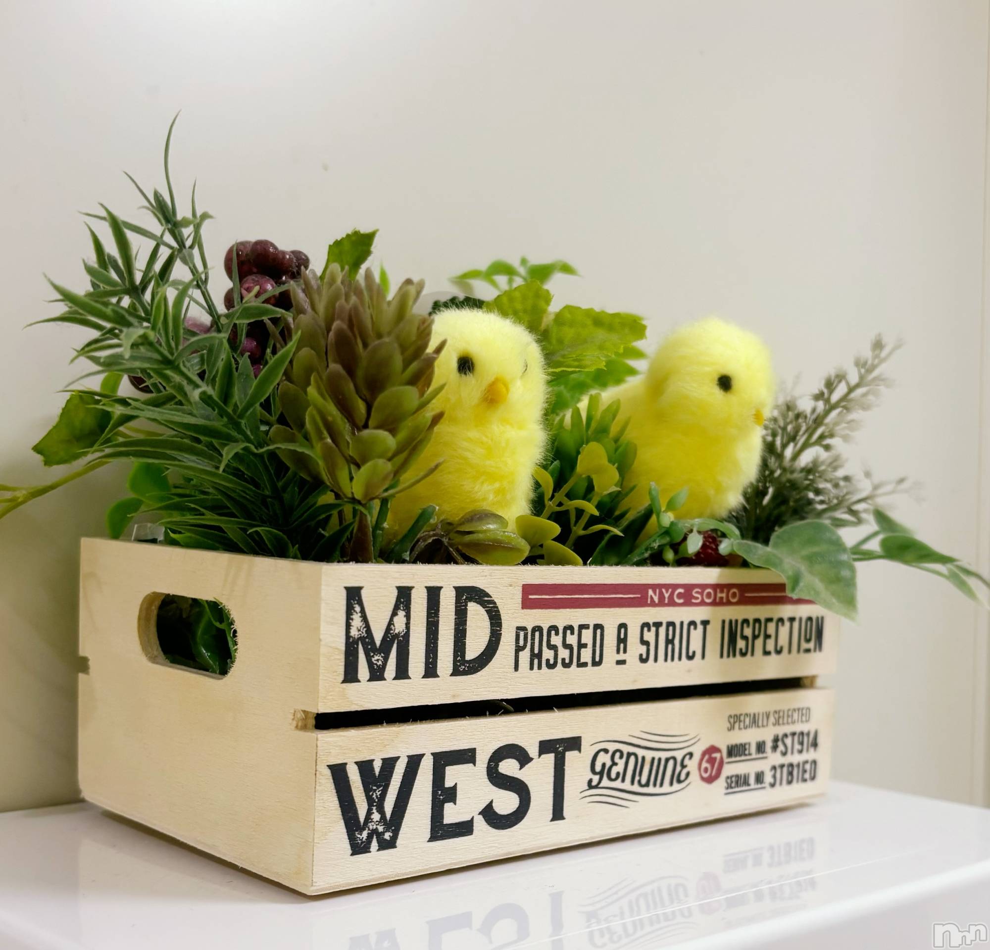 長岡デリヘルMimi(ミミ)ひな★月間RANK1位★(25)の2024年11月2日写メブログ「かわいい📸」