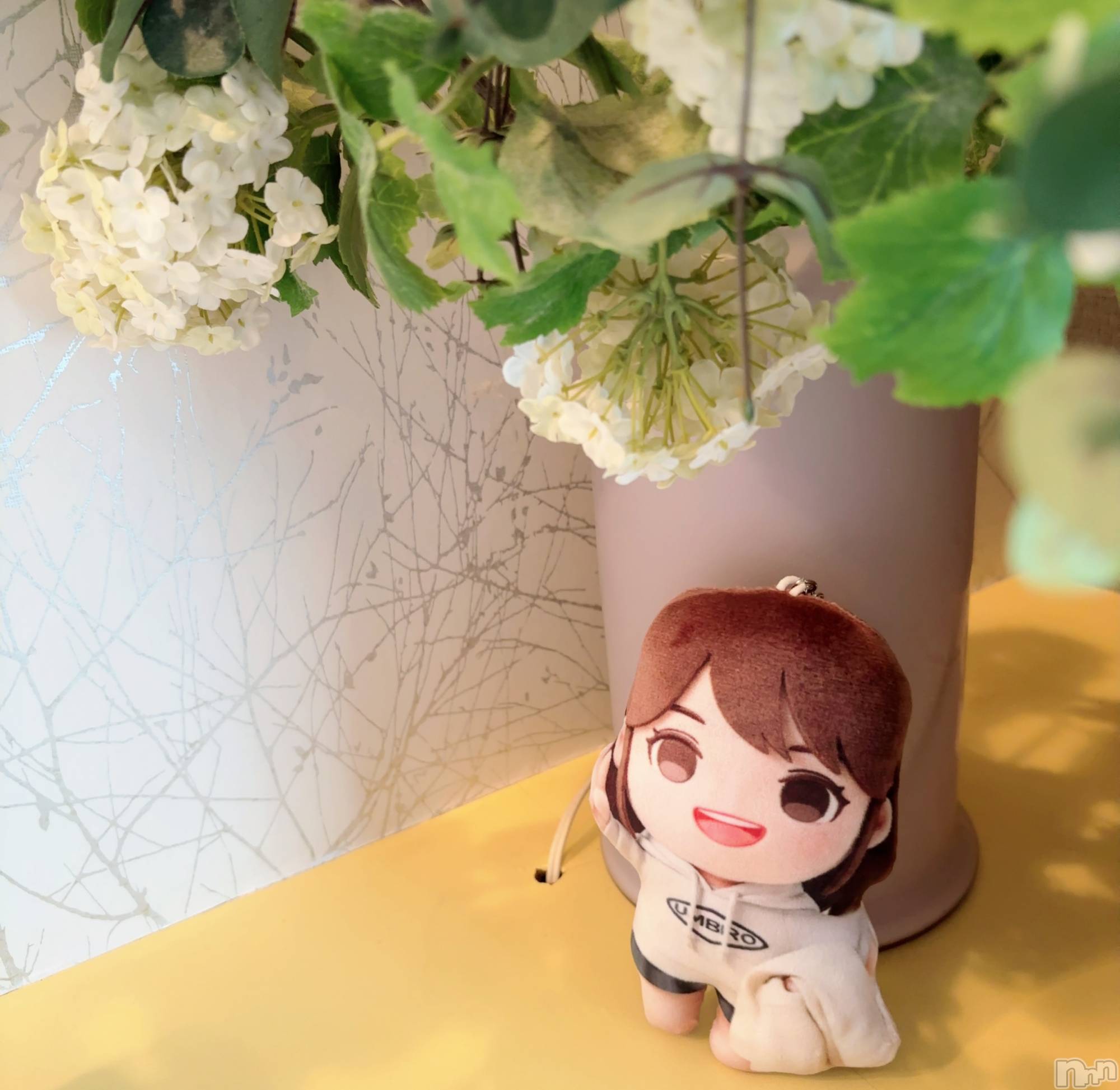 長岡デリヘルMimi(ミミ)ひな★月間RANK1位★(25)の2025年5月20日写メブログ「ありがとう🤣」