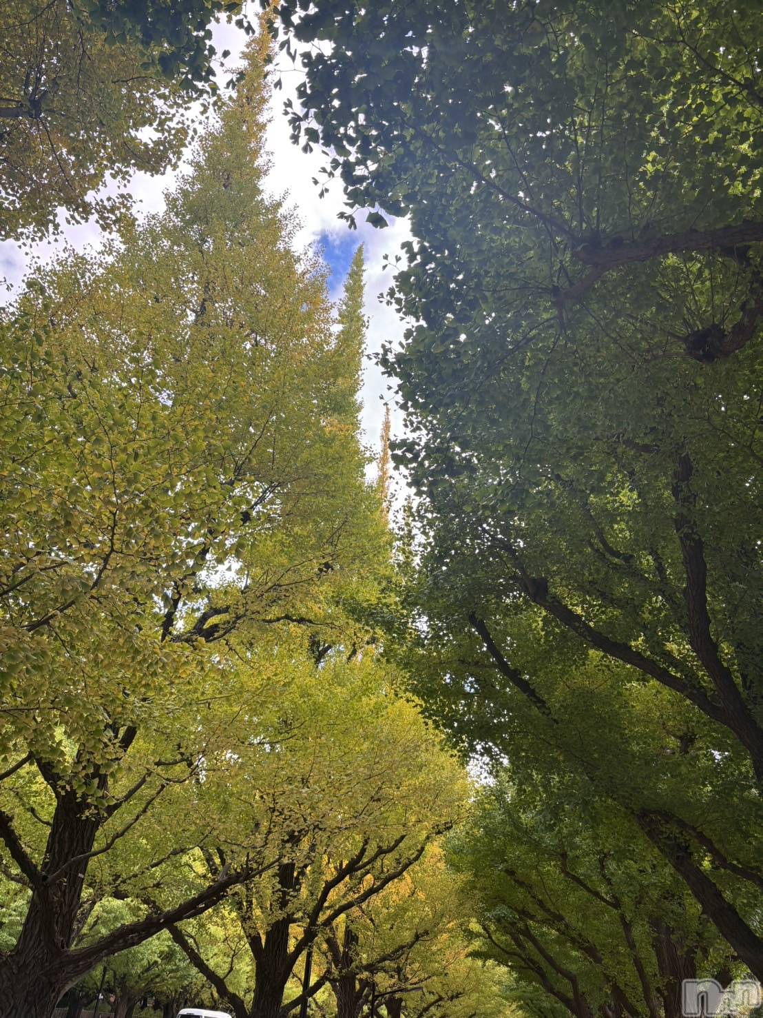 長岡デリヘルMimi(ミミ)ひな★月間RANK1位★(25)の2025年11月24日写メブログ「デートプラン❤️」