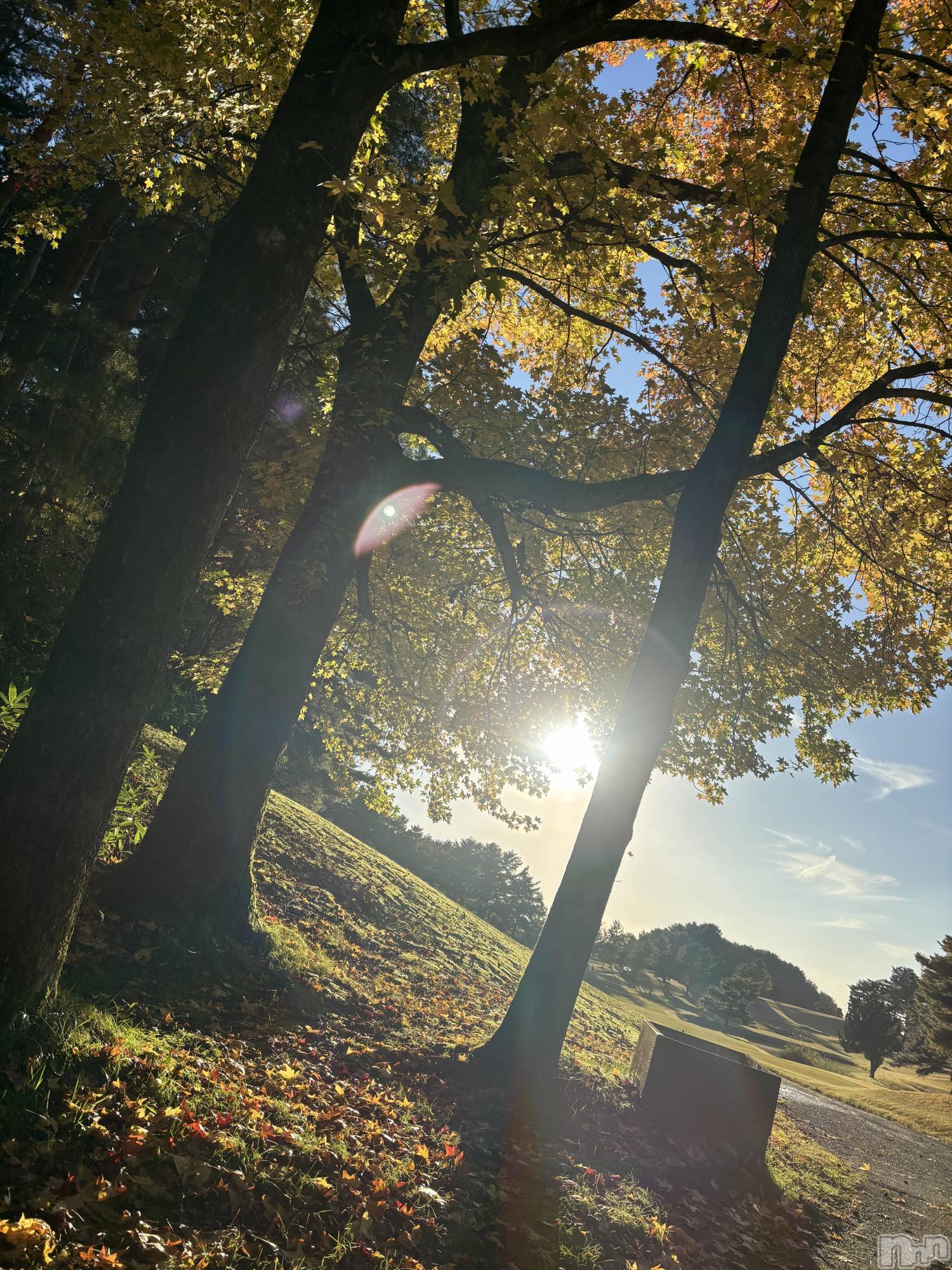 長岡デリヘルMimi(ミミ)ひな★月間RANK1位★(25)の2025年12月7日写メブログ「ひな活🐥」