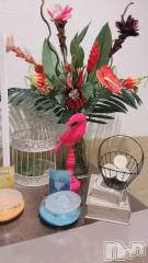 長岡デリヘルMimi(ミミ) ひな★月間RANK1位★(25)の6月26日写メブログ「盗撮📷あれ、なんか前と変わりました❓気のせい❓」