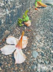 長岡デリヘルMimi(ミミ) ひな★月間RANK1位★(25)の10月17日写メブログ「30番目のあなた」