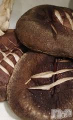 長岡デリヘルMimi(ミミ) ひな★月間RANK1位★(25)の10月28日写メブログ「大好きなきのこ🍄」