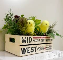 長岡デリヘルMimi(ミミ) ひな★月間RANK1位★(25)の11月2日写メブログ「かわいい📸」