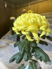 長岡デリヘルMimi(ミミ) ひな★月間RANK1位★(25)の11月10日写メブログ「おはまる❤️」