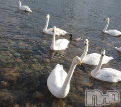 長岡デリヘルMimi(ミミ) ひな★月間RANK1位★(25)の1月20日写メブログ「4年前の今頃😘」