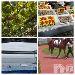 長岡デリヘルMimi(ミミ) ひな★月間RANK1位★(25)の3月6日写メブログ「お出かけシリーズ🤣」