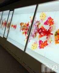 長岡デリヘルMimi(ミミ) ひな★月間RANK1位★(25)の9月1日写メブログ「好き🫶」