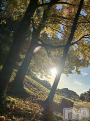 長岡デリヘルMimi(ミミ) ひな★月間RANK1位★(25)の12月7日写メブログ「ひな活🐥」