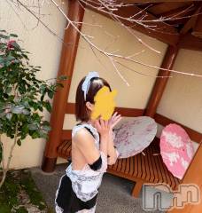 長岡デリヘルMimi(ミミ) ひな【5月本指名数1位】(25)の3月24日写メブログ「裸◯◯」