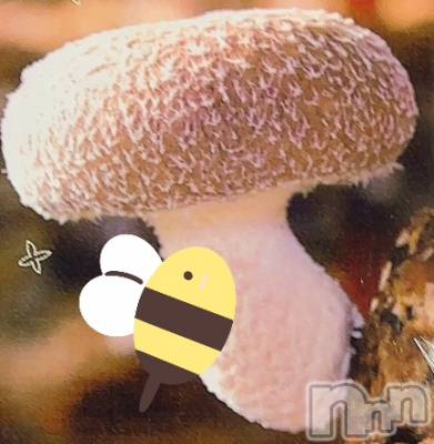 長岡デリヘル Mimi(ミミ) ひな★月間RANK1位★(25)の8月24日写メブログ「愛は地球を救うのか❓」