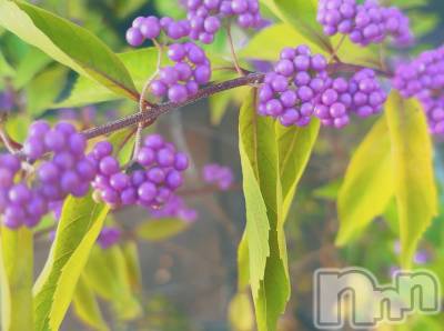 長岡デリヘル Mimi(ミミ) ひな★月間RANK1位★(25)の9月12日写メブログ「待ち受けはなんですか❓」