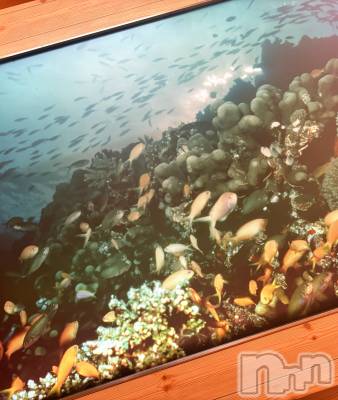 長岡デリヘル Mimi(ミミ) ひな★月間RANK1位★(25)の9月15日写メブログ「お題：好きな子デートに誘いたいんだけど不審に思われない誘い方ありますか？」