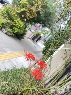 長岡デリヘル Mimi(ミミ) ひな★月間RANK1位★(25)の9月28日写メブログ「ようこそ土曜日🙄」