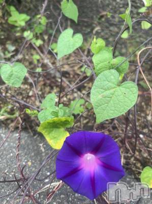 長岡デリヘル Mimi(ミミ) ひな★月間RANK1位★(25)の10月4日写メブログ「どれにしようかなあ❤️」