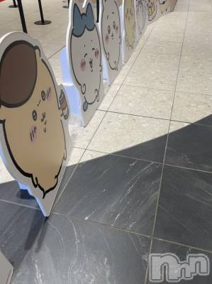 長岡デリヘル Mimi(ミミ) ひな★月間RANK1位★(25)の10月15日写メブログ「お題：「神客」と呼ばれるにはどんなことに気を付ければよいのでしょうか？」