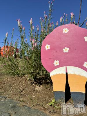 長岡デリヘル Mimi(ミミ) ひな★月間RANK1位★(25)の10月21日写メブログ「パンチラ❤️」