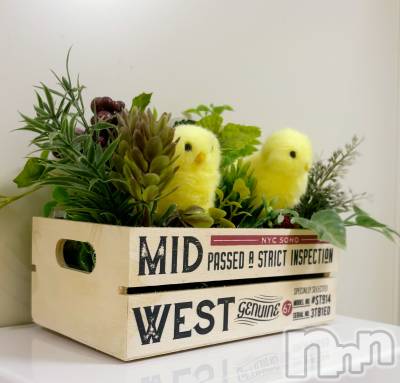 長岡デリヘル Mimi(ミミ) ひな★月間RANK1位★(25)の11月2日写メブログ「かわいい📸」