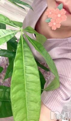 長岡デリヘル Mimi(ミミ) ひな★月間RANK1位★(25)の11月14日写メブログ「似ている芸能人🤗」