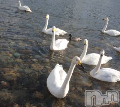 長岡デリヘル Mimi(ミミ) ひな★月間RANK1位★(25)の1月20日写メブログ「4年前の今頃😘」