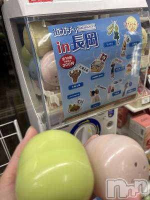 長岡デリヘル Mimi(ミミ) ひな★月間RANK1位★(25)の2月4日写メブログ「運試し❣️」