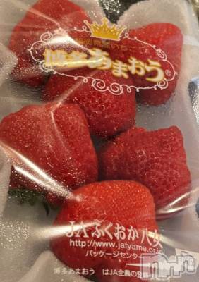 長岡デリヘル Mimi(ミミ) ひな★月間RANK1位★(25)の4月2日写メブログ「4/2(水)のお礼です～❤️」