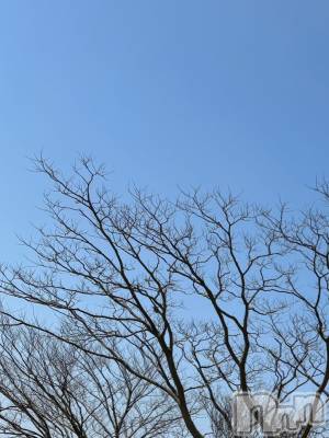 長岡デリヘル Mimi(ミミ) ひな★月間RANK1位★(25)の4月6日写メブログ「春よこい🌷🌸」