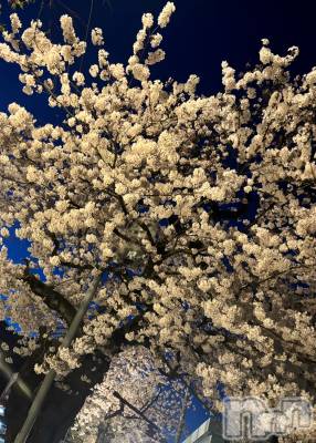 長岡デリヘル Mimi(ミミ) ひな★月間RANK1位★(25)の4月14日写メブログ「4/12(土)のお礼の続きです～❤️」