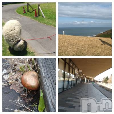 長岡デリヘル Mimi(ミミ) ひな★月間RANK1位★(25)の4月15日写メブログ「人がいないアウトレット」