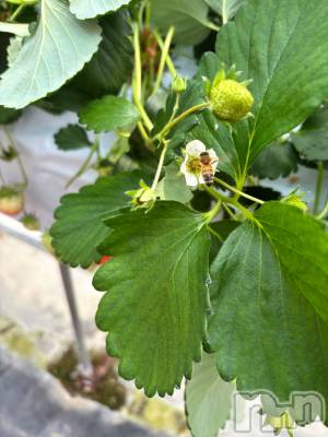 長岡デリヘル Mimi(ミミ) ひな★月間RANK1位★(25)の4月21日写メブログ「4/18(金)のお礼です～♥️」