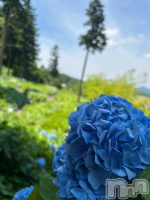 長岡デリヘル Mimi(ミミ) ひな★月間RANK1位★(25)の6月30日写メブログ「6/29(日)のお礼です～❤️」