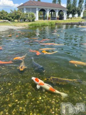 長岡デリヘル Mimi(ミミ) ひな★月間RANK1位★(25)の8月1日写メブログ「7/29（火）のお礼です～♥️」