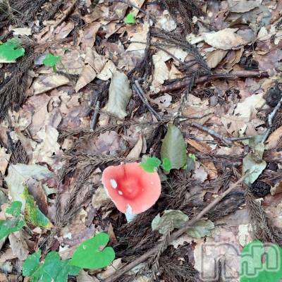 長岡デリヘル Mimi(ミミ) ひな★月間RANK1位★(25)の9月16日写メブログ「😌♥️」