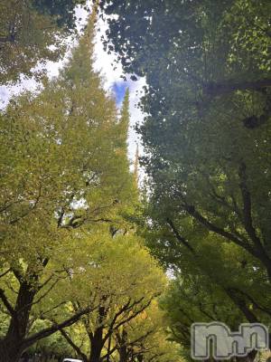 長岡デリヘル Mimi(ミミ) ひな★月間RANK1位★(25)の11月24日写メブログ「デートプラン❤️」