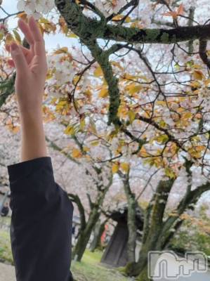 長岡デリヘル Mimi(ミミ) ひな★月間RANK1位★(25)の4月24日写メブログ「触りたい❤️」