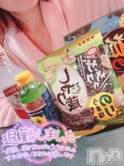 新潟ソープ新潟バニーコレクション(ニイガタバニーコレクション) ミライ(24)の2月21日写メブログ「退勤です🐸」