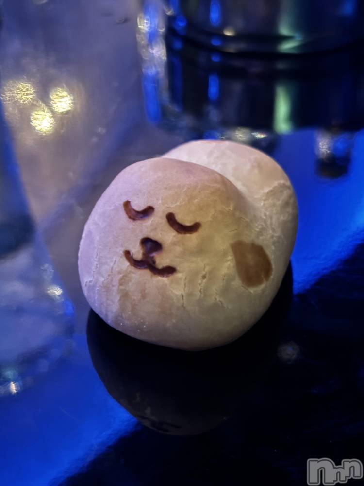 ƲХ顦֥ ץ Ĺ( ץ ʥ)  ʤ117̥֥🥺💙