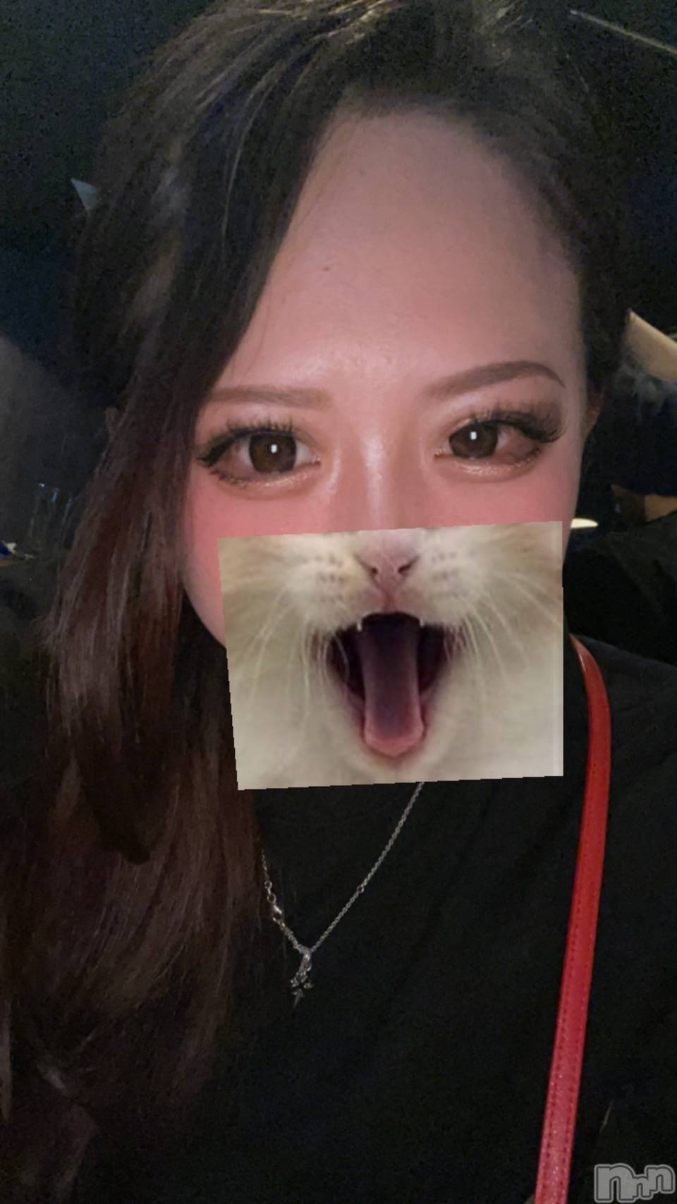 ĮХ顦Club ILY(֥꡼) 2023ǯ111̥֥Club ILYΥޥꥢǤ🕊