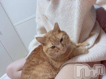 松本発デリヘル 松本人妻隊(マツモトヒトヅマタイ) ふうか(20)の11月10日写メブログ「[お題]from:今日は会社休みますさん」