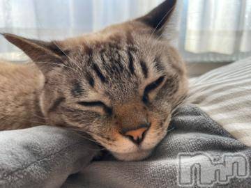 松本発デリヘル 松本人妻隊(マツモトヒトヅマタイ) ふうか(20)の11月19日写メブログ「お礼日記💌」