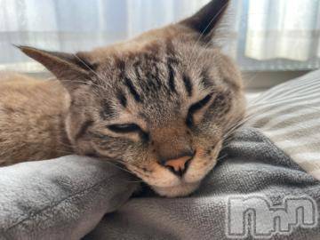 松本発デリヘル 松本人妻隊(マツモトヒトヅマタイ) ふうか(20)の11月20日写メブログ「出勤中です🎶」