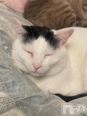 松本発デリヘル 松本人妻隊(マツモトヒトヅマタイ) ふうか(20)の1月11日写メブログ「出勤しました」