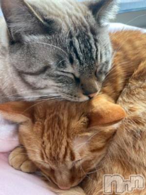 松本発デリヘル 松本人妻隊(マツモトヒトヅマタイ) ふうか(20)の1月26日写メブログ「今日の出勤🥰」